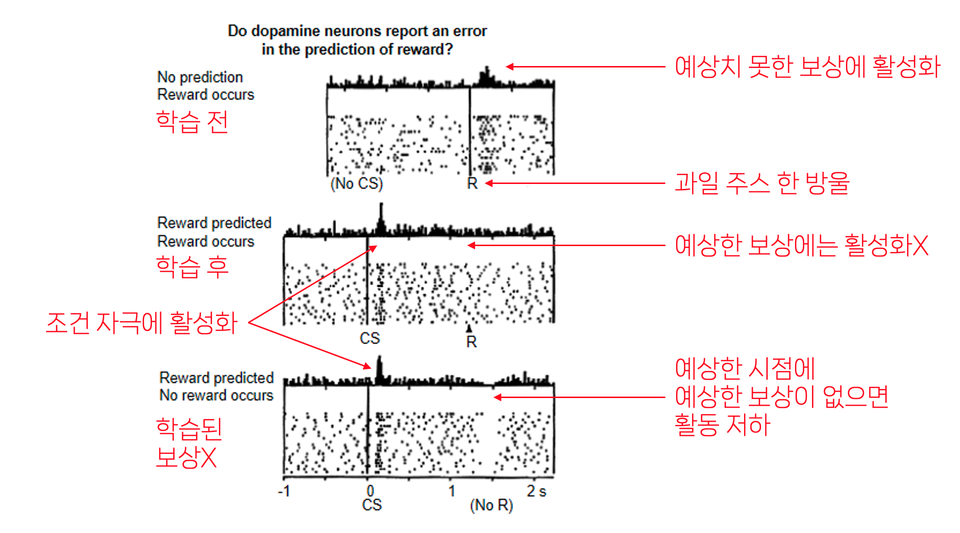 예상하지 못한 보상, 예상한 보상, 예상했지만 주어지지 않은 보상에 대한 도파민 뉴런 반응